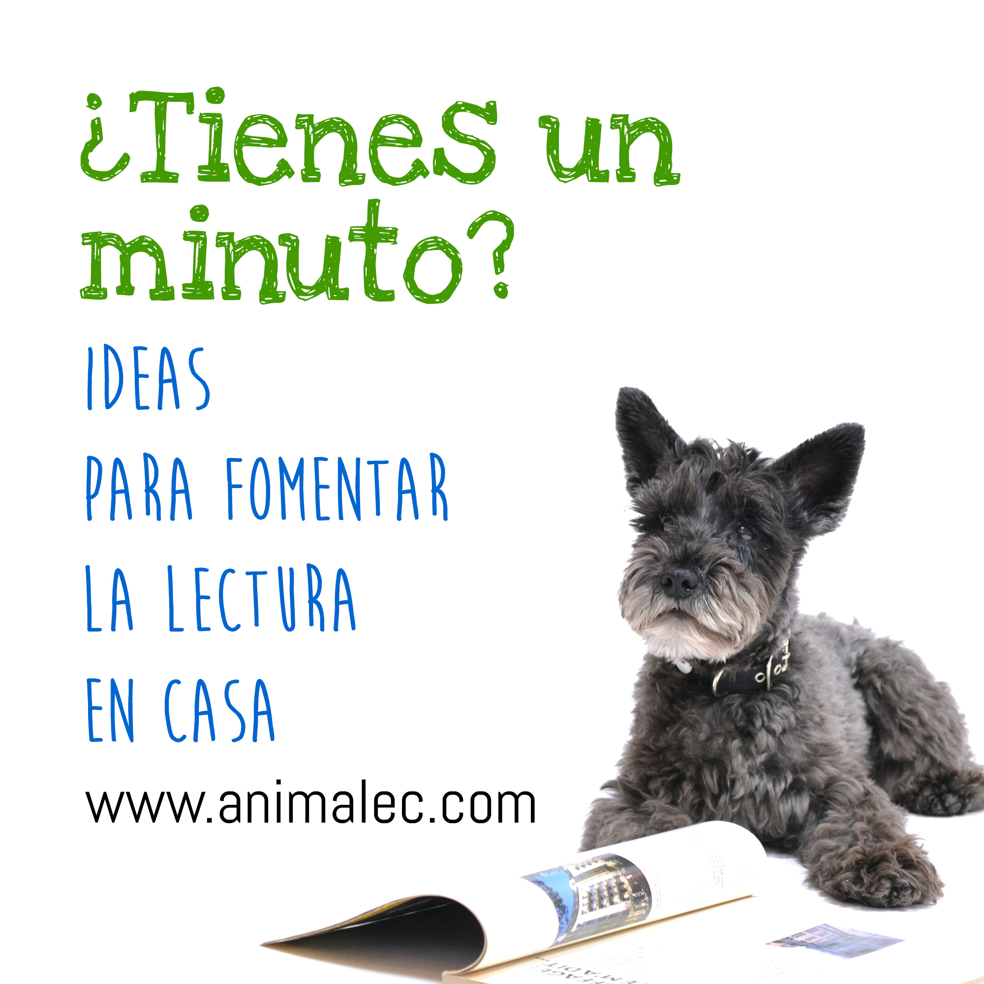 ¿Tienes un minuto?